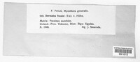 Image Associated With the Occurence